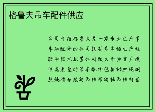 格鲁夫吊车配件供应